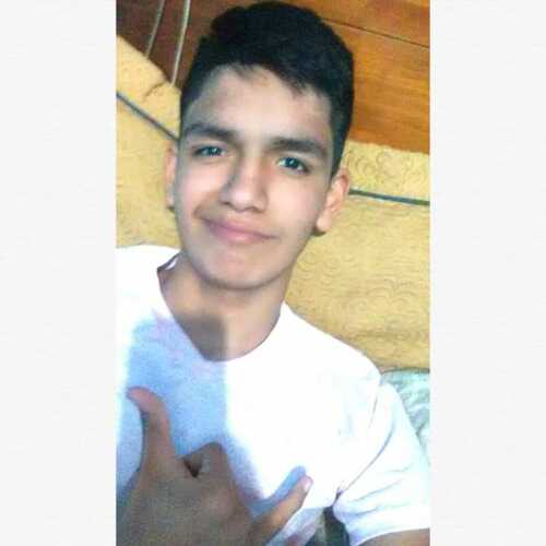 carloss373