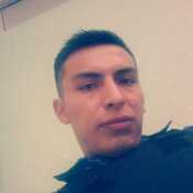Lobo1298