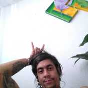 anfe384