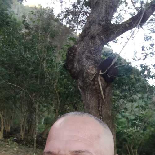 vizca134