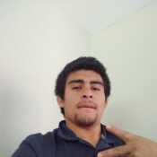 perdo253