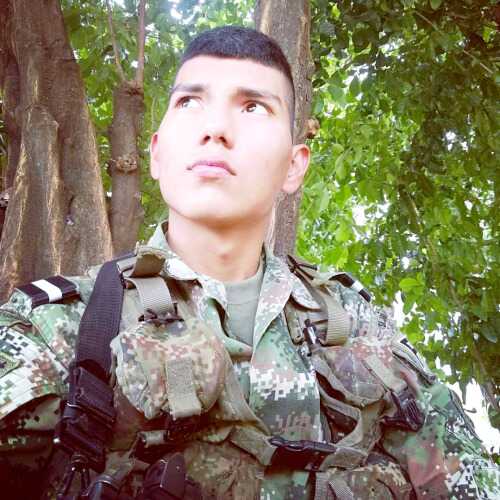 williamricardohernandezdiaz421
