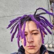 lisergicodiet301