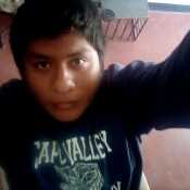luisshi520