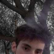 mendu981