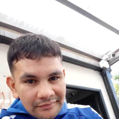 Ale