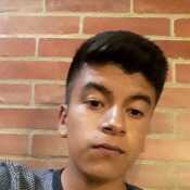 diego256