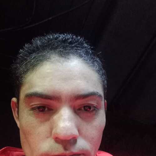 Timido