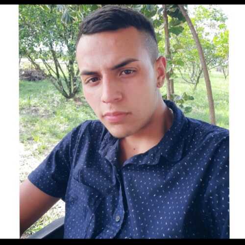 brayan586
