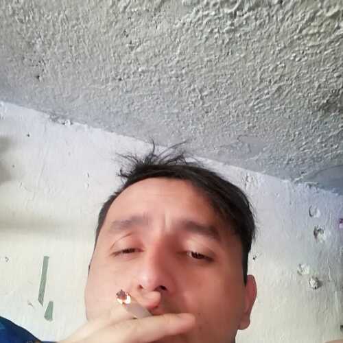 andrescarra564