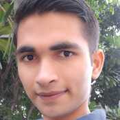 bindew219