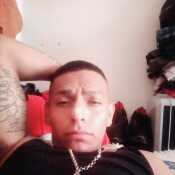 alancilloenaniyo2