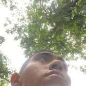 Hect