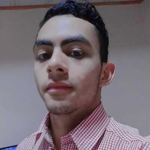Angelp292
