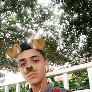 Walser1217