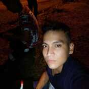 Wilfer