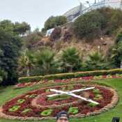 miguelrosale857