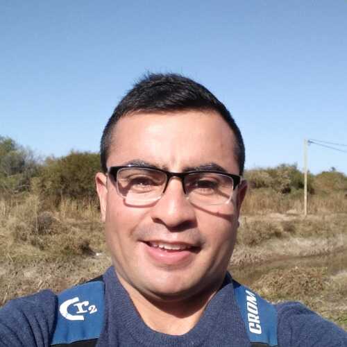 maximilianobane278