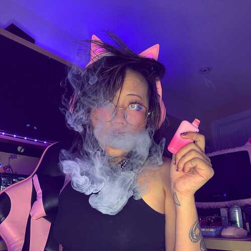 Willow