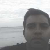 Ibred83