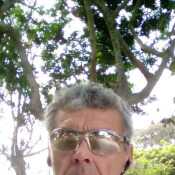 germanblumenfel