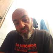 bergamascojavi