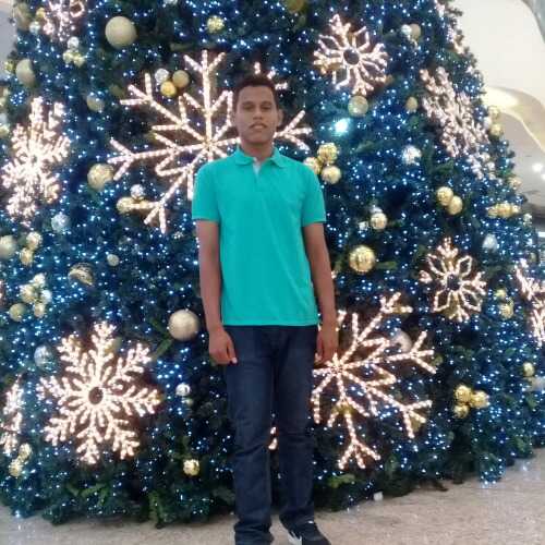 Padillaltn791