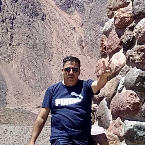 bachyor196