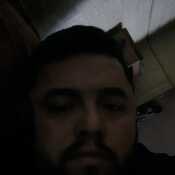 sergini