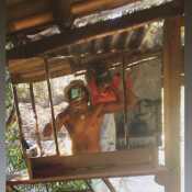 Danithc