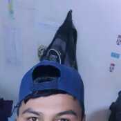 maximilianomig763
