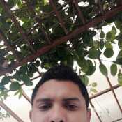 Elroman