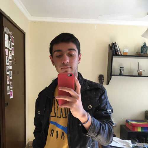 Davidfloresok