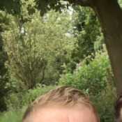 Jake