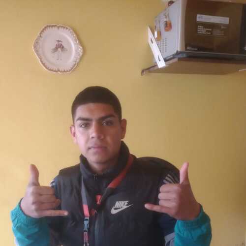 gustavojorgebus244