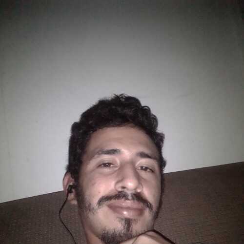 davidpalma595