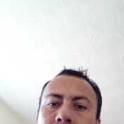 luistorresalc478