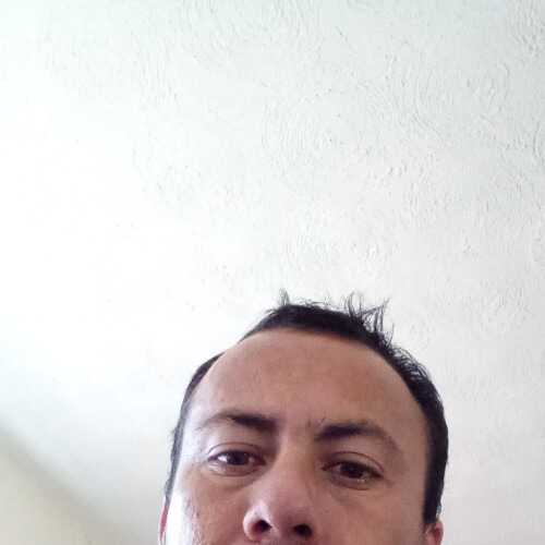 luistorresalc478