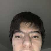 lucasgall342