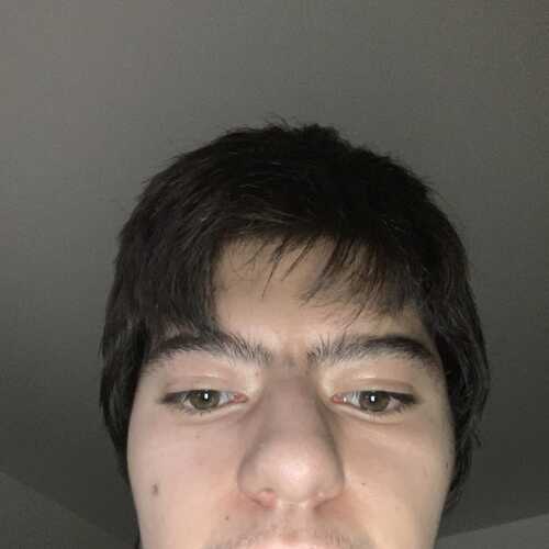 lucasgall342