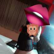 Suedu