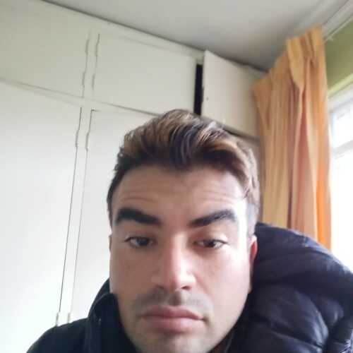 danir22