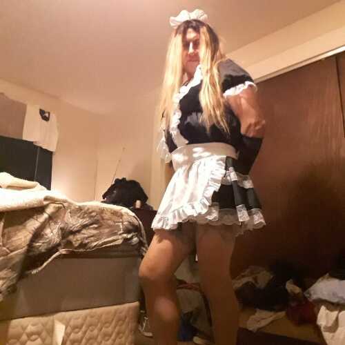 davidschae696