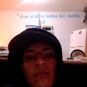 Perro