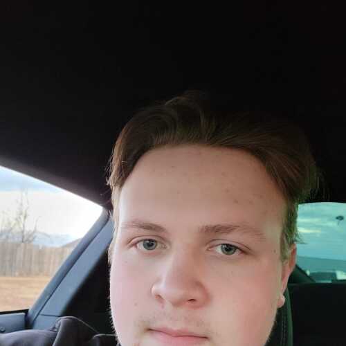 HalfWitGoose