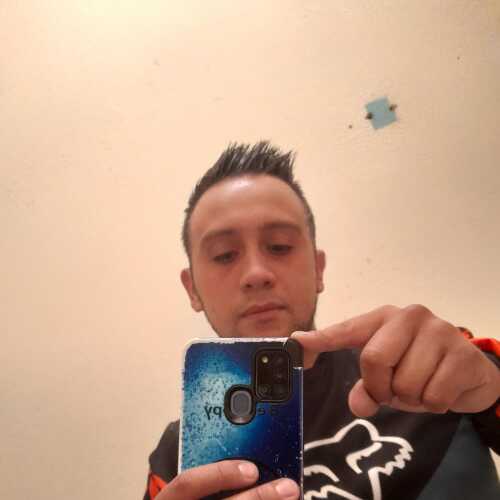 aleji429
