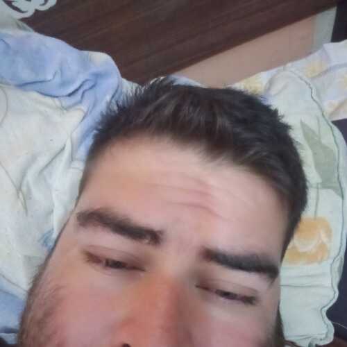 lobosito54
