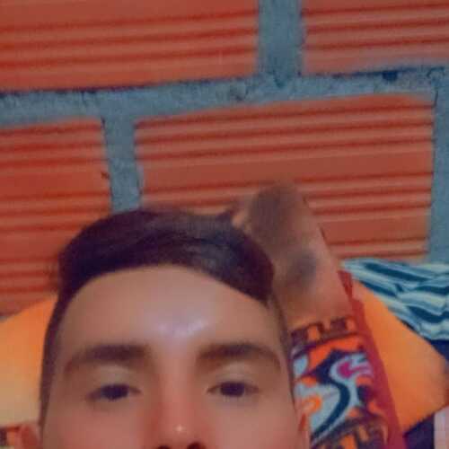 ericksonvillama501