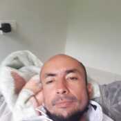 Arpene