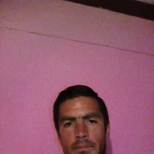 daniboyarellano